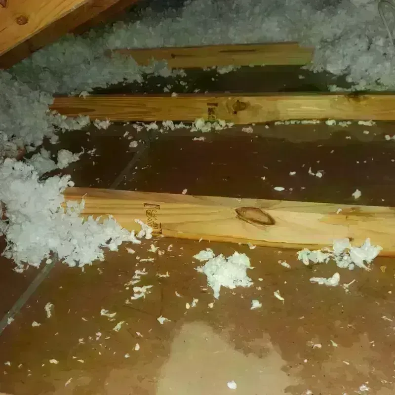 Attic Water Damage in Wolcott, NY